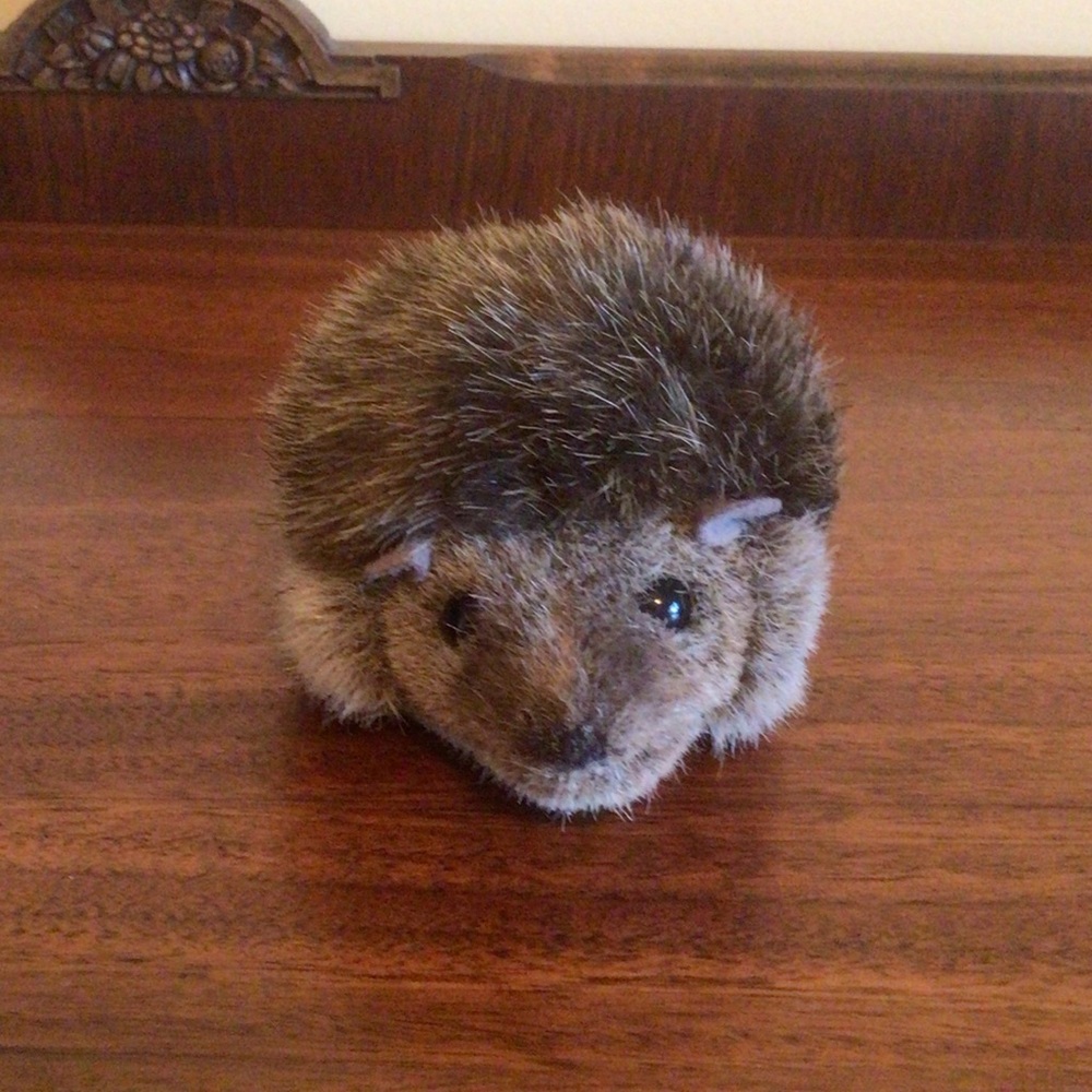 Kosen Hedgehog